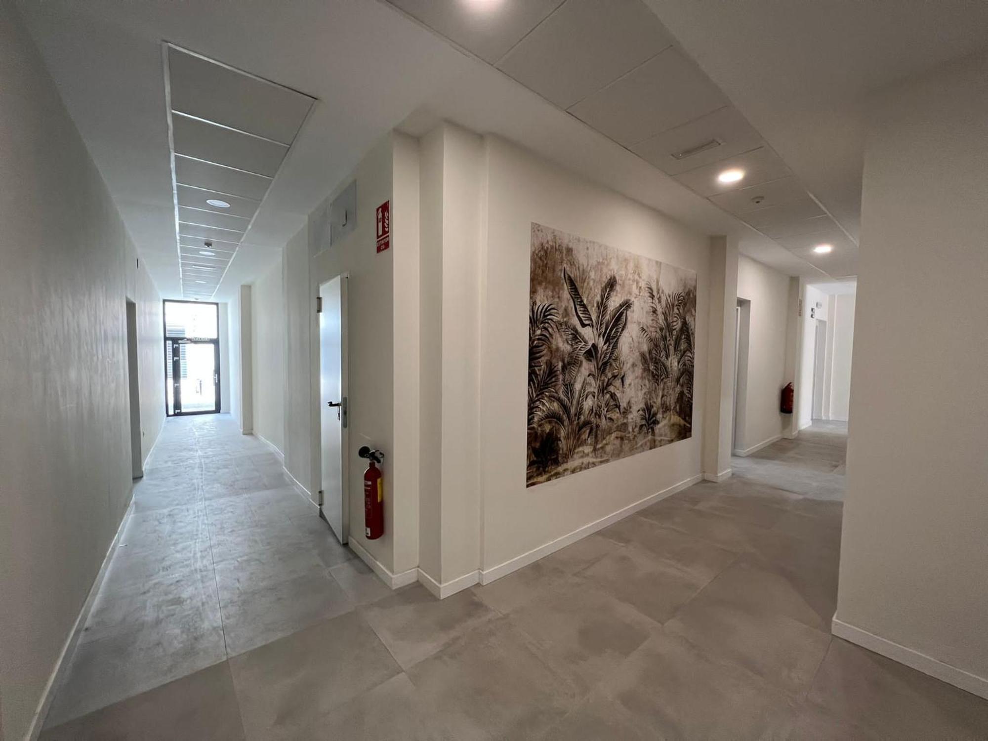 Estudio Trinidad Centro Malaga 2 Dış mekan fotoğraf